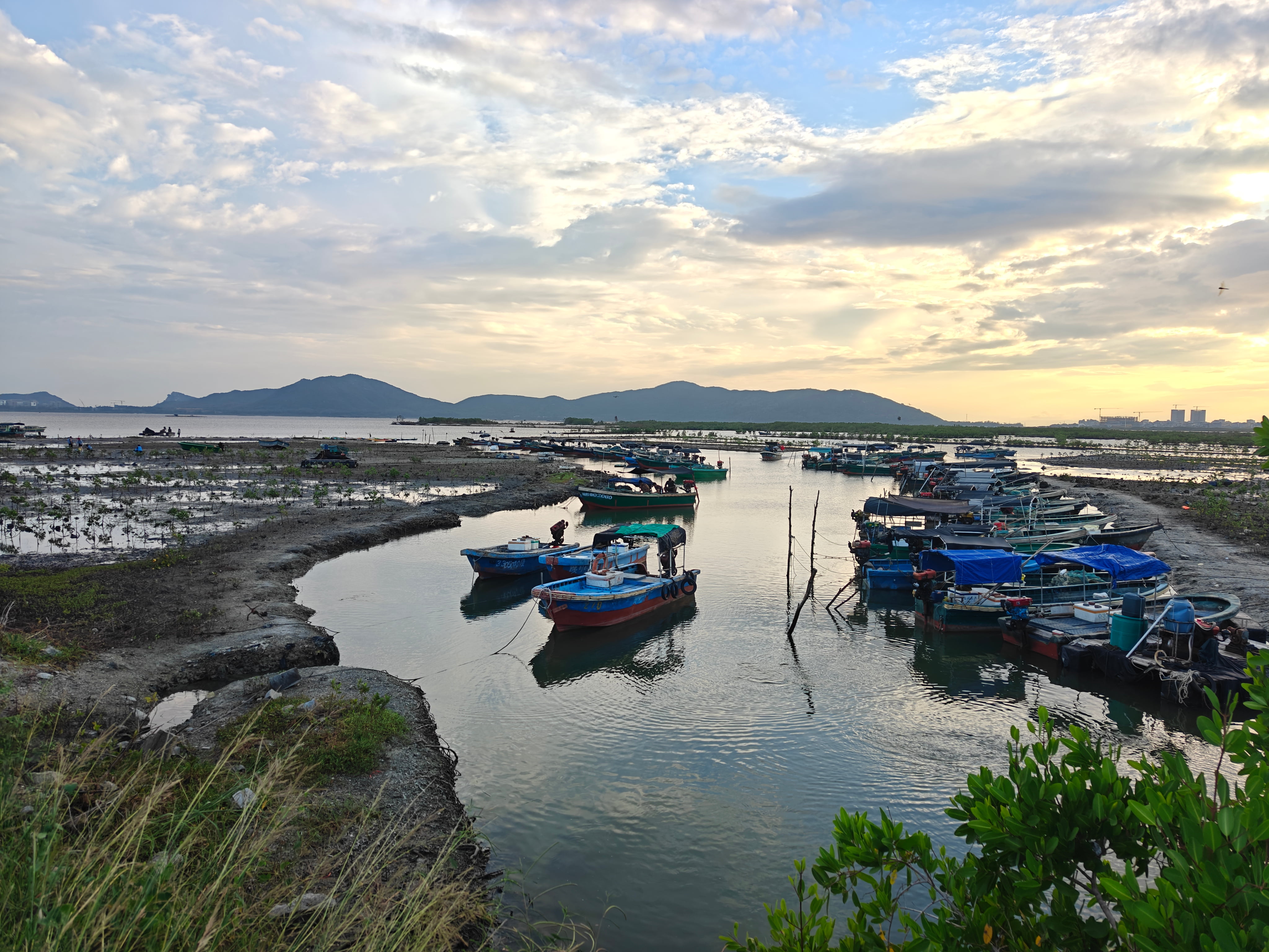 SEA Grants awards $350,000 to seven grassroots coastal conservation projects