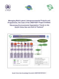 Managing Multi-Lateral, Intergovernmental Projects and Programmes