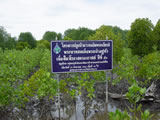 Community Involvement, Public Awareness, and Education for Mangrove Conservation and Restoration in Trat Province, Thailand